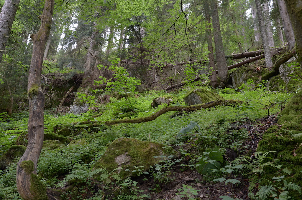 eventi nella natura
